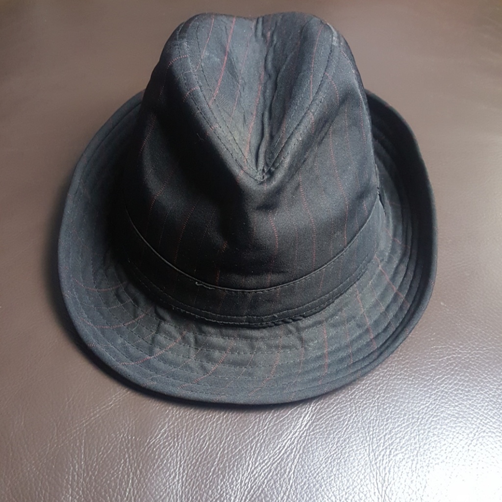 H&M Fedora